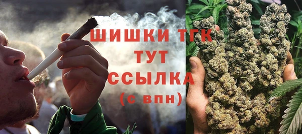 прущие крисы Новодвинск