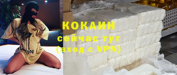 сатива Абаза