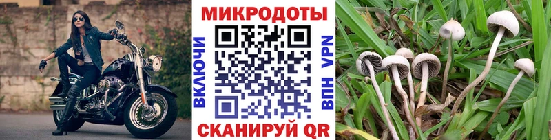 Псилоцибиновые грибы Magic Shrooms  Тюмень 