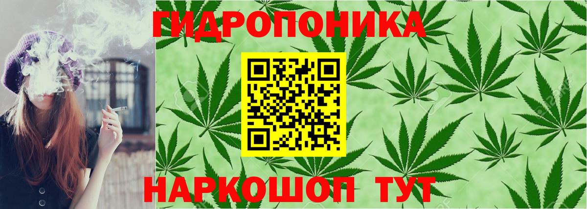 Шишки марихуана марихуана  Вход с VPN  Каннабис Bruce Banner  Тюмень  Каннабис THC 21% 
